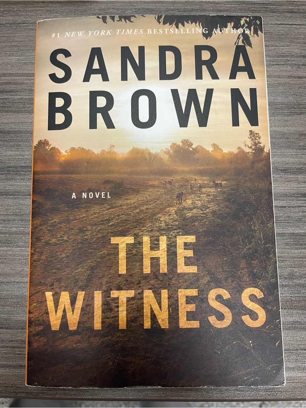 The Witness - by Sandra Brown